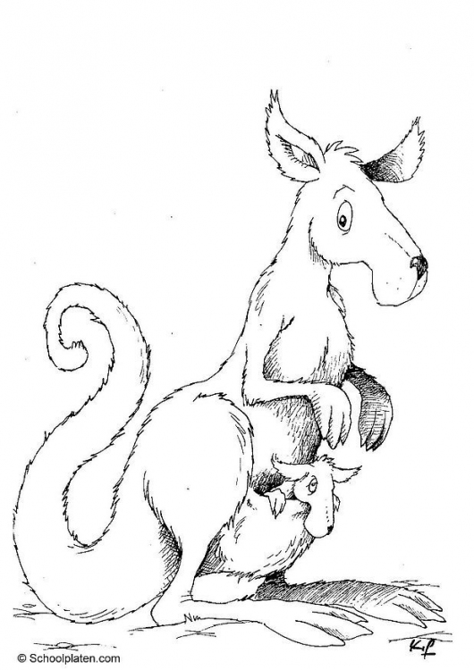 Disegno da colorare: Canguro (Animali) #9147 - Pagine da Colorare Stampabili Gratuite