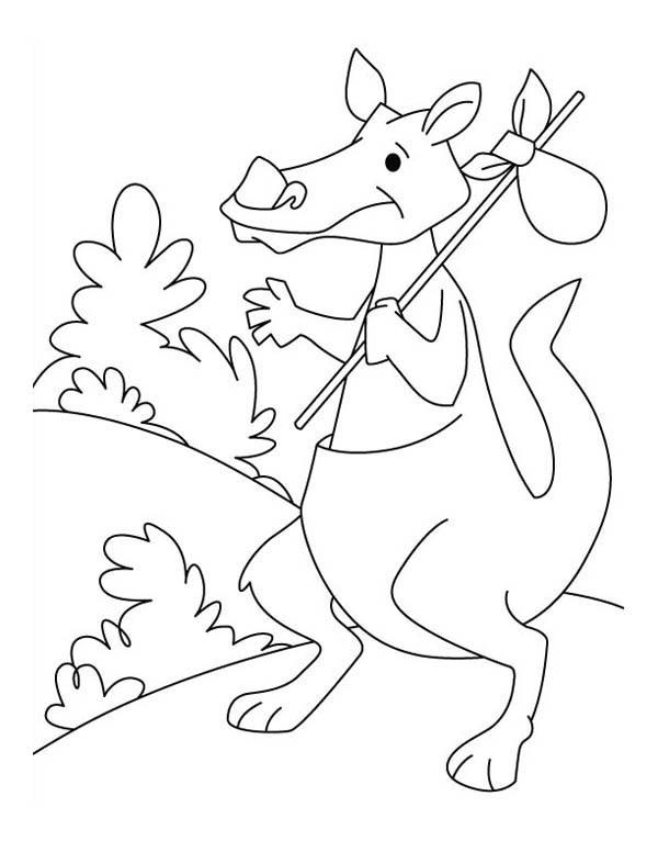 Disegno da colorare: Canguro (Animali) #9252 - Pagine da Colorare Stampabili Gratuite
