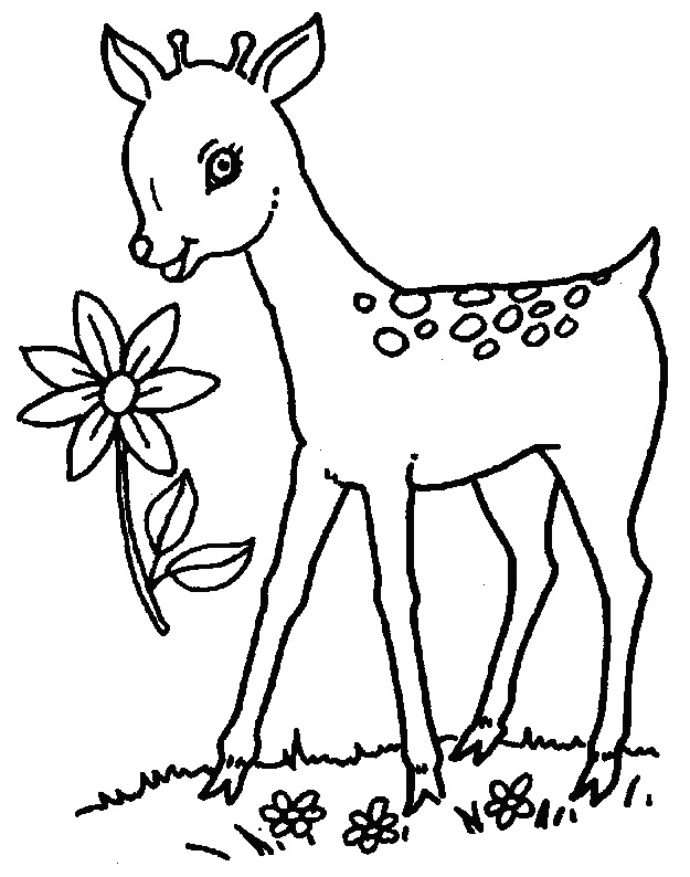 Disegno da colorare: capriolo (Animali) #2592 - Pagine da Colorare Stampabili Gratuite