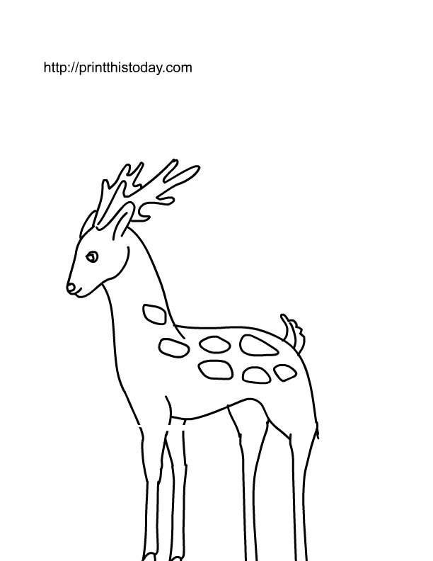 Disegno da colorare: capriolo (Animali) #2672 - Pagine da Colorare Stampabili Gratuite