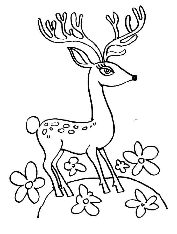 Disegno da colorare: capriolo (Animali) #2745 - Pagine da Colorare Stampabili Gratuite