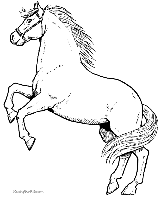 Disegno da colorare: Cavallo (Animali) #2164 - Pagine da Colorare Stampabili Gratuite