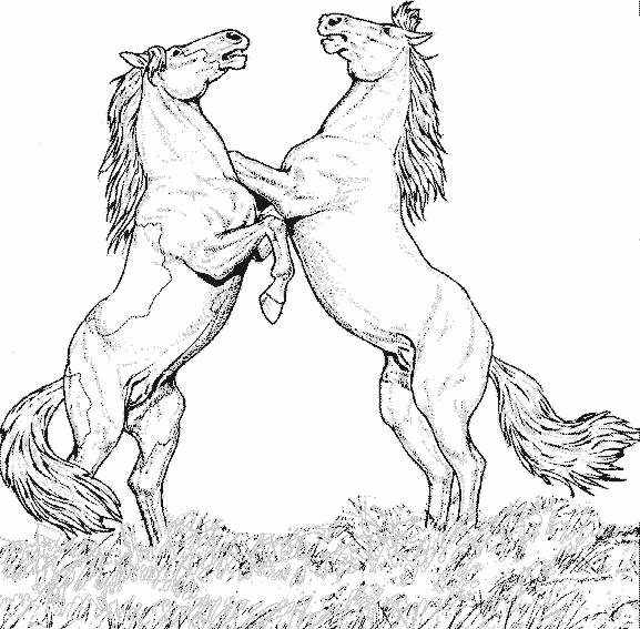 Disegno da colorare: Cavallo (Animali) #2170 - Pagine da Colorare Stampabili Gratuite