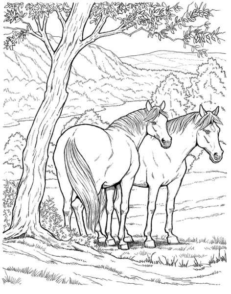 Disegno da colorare: Cavallo (Animali) #2172 - Pagine da Colorare Stampabili Gratuite