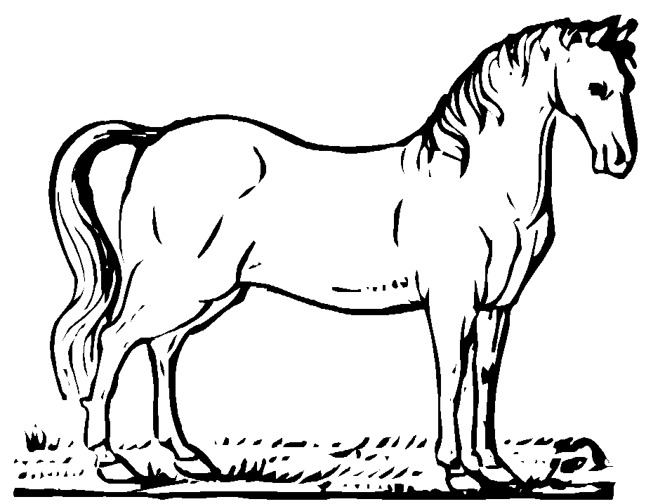 Disegno da colorare: Cavallo (Animali) #2176 - Pagine da Colorare Stampabili Gratuite