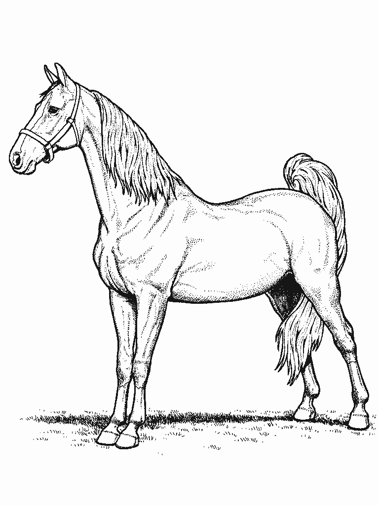 Disegno da colorare: Cavallo (Animali) #2184 - Pagine da Colorare Stampabili Gratuite