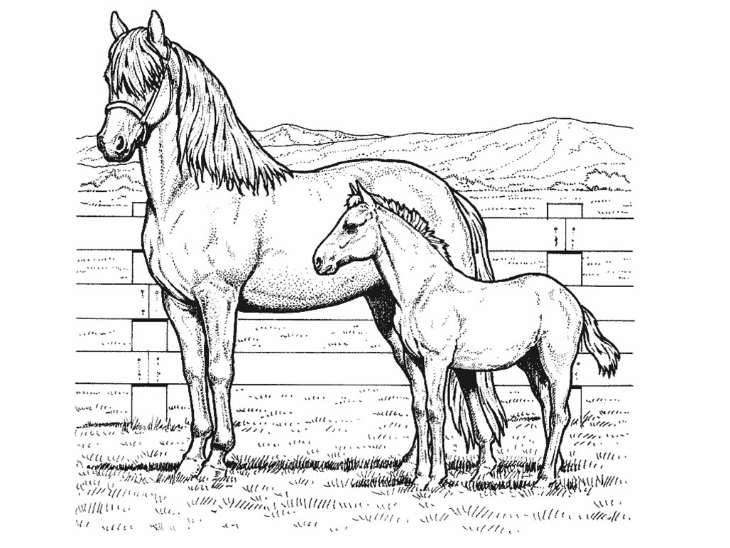 Disegno da colorare: Cavallo (Animali) #2185 - Pagine da Colorare Stampabili Gratuite