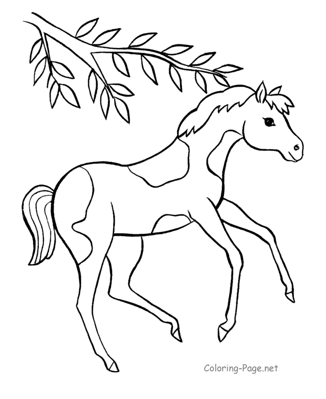 Disegno da colorare: Cavallo (Animali) #2202 - Pagine da Colorare Stampabili Gratuite