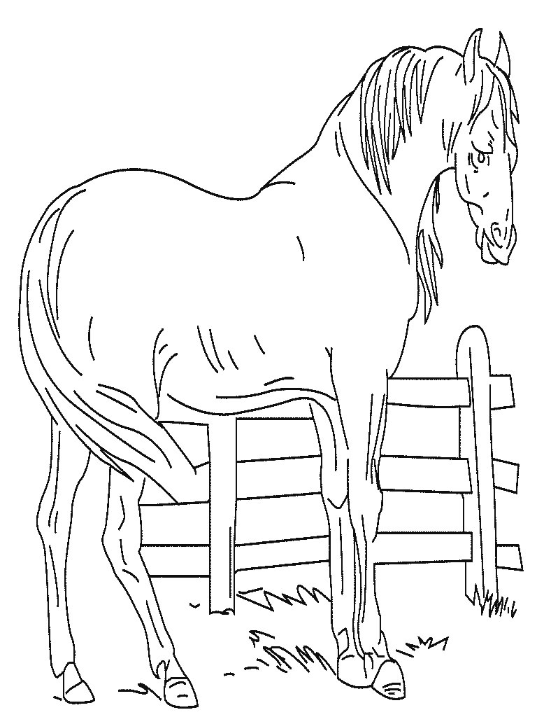 Disegno da colorare: Cavallo (Animali) #2207 - Pagine da Colorare Stampabili Gratuite