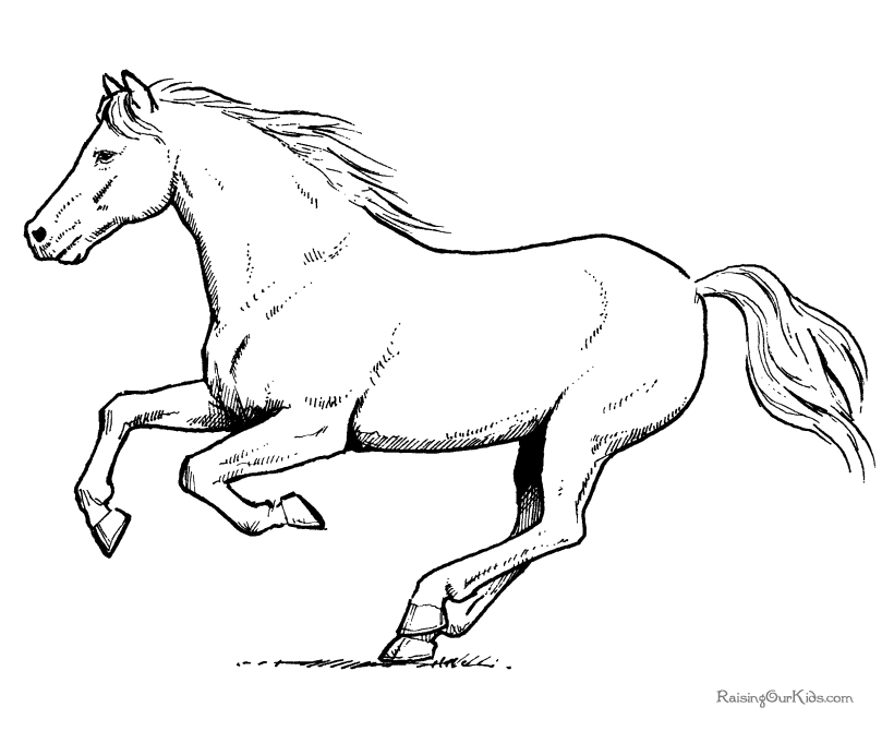 Disegno da colorare: Cavallo (Animali) #2237 - Pagine da Colorare Stampabili Gratuite