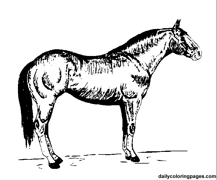 Disegno da colorare: Cavallo (Animali) #2243 - Pagine da Colorare Stampabili Gratuite