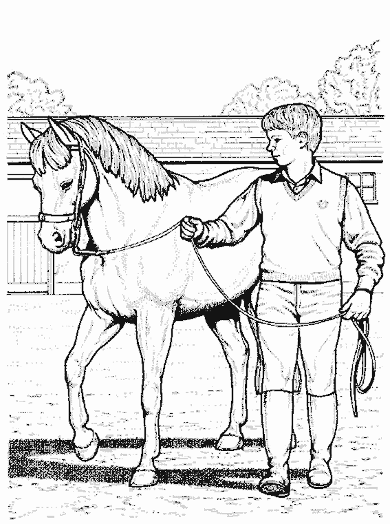 Disegno da colorare: Cavallo (Animali) #2264 - Pagine da Colorare Stampabili Gratuite