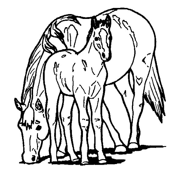 Disegno da colorare: Cavallo (Animali) #2275 - Pagine da Colorare Stampabili Gratuite