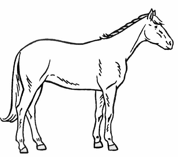 Disegno da colorare: Cavallo (Animali) #2278 - Pagine da Colorare Stampabili Gratuite