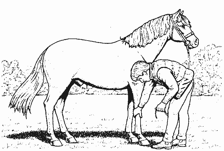 Disegno da colorare: Cavallo (Animali) #2287 - Pagine da Colorare Stampabili Gratuite