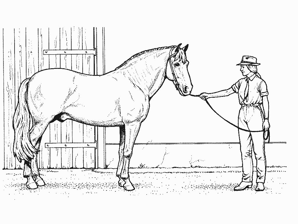 Disegno da colorare: Cavallo (Animali) #2308 - Pagine da Colorare Stampabili Gratuite