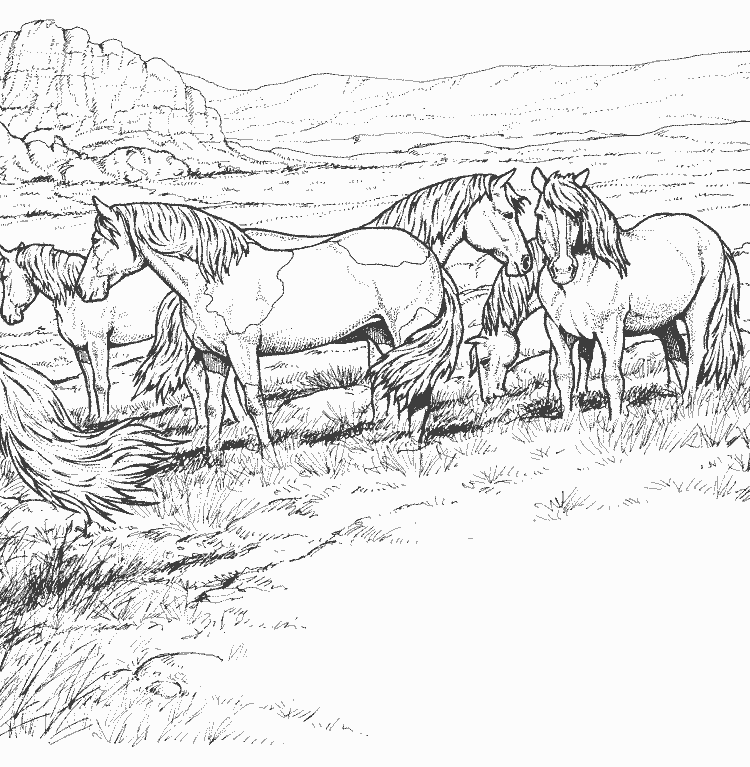 Disegno da colorare: Cavallo (Animali) #2313 - Pagine da Colorare Stampabili Gratuite