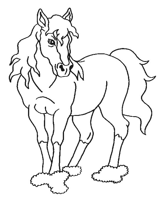Disegno da colorare: Cavallo (Animali) #2318 - Pagine da Colorare Stampabili Gratuite