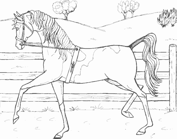 Disegno da colorare: Cavallo (Animali) #2334 - Pagine da Colorare Stampabili Gratuite