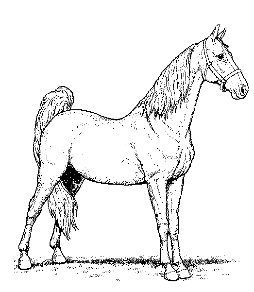 Disegno da colorare: Cavallo (Animali) #2355 - Pagine da Colorare Stampabili Gratuite
