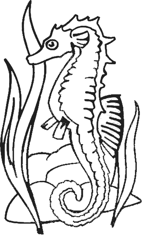 Disegno da colorare: Cavalluccio marino (Animali) #18632 - Pagine da Colorare Stampabili Gratuite