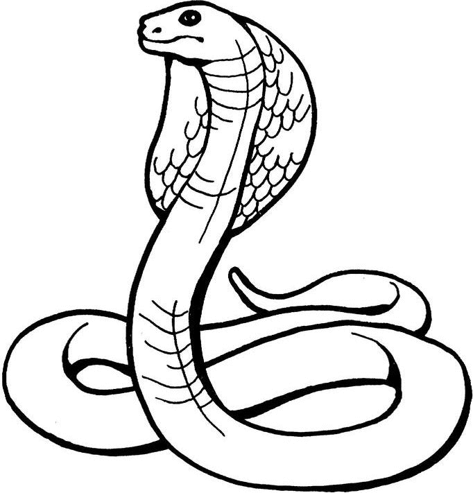 Disegno da colorare: Cobra (Animali) #3223 - Pagine da Colorare Stampabili Gratuite