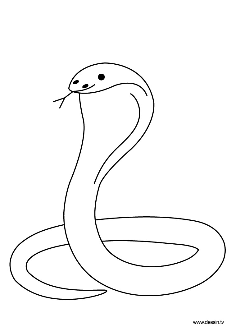 Disegno da colorare: Cobra (Animali) #3227 - Pagine da Colorare Stampabili Gratuite