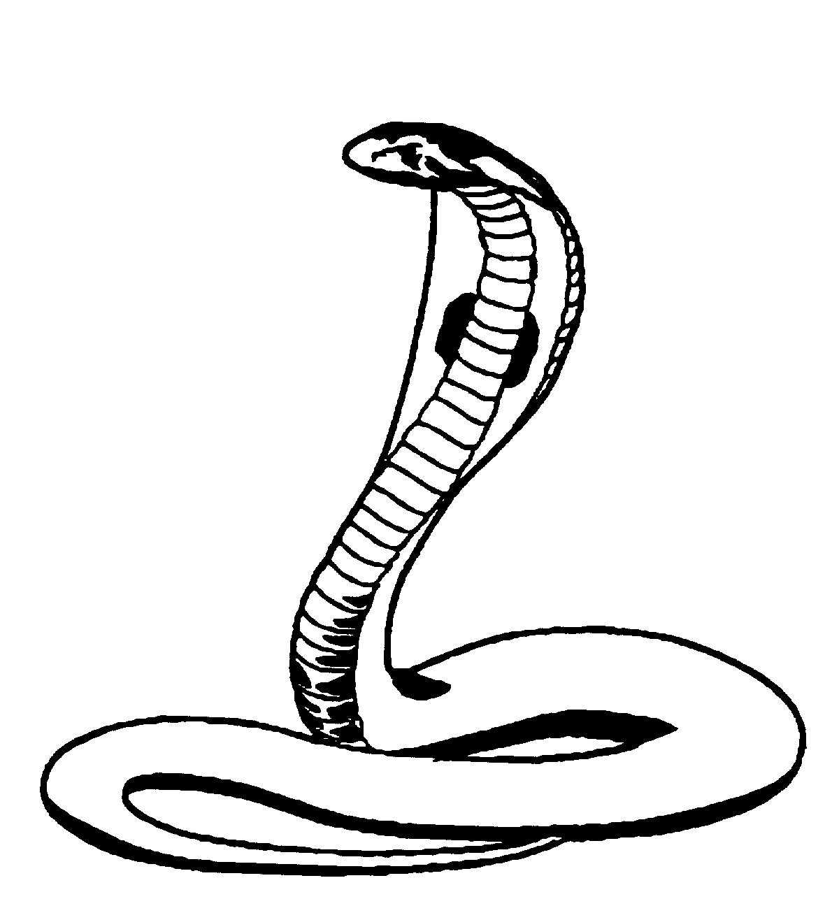Disegno da colorare: Cobra (Animali) #3296 - Pagine da Colorare Stampabili Gratuite