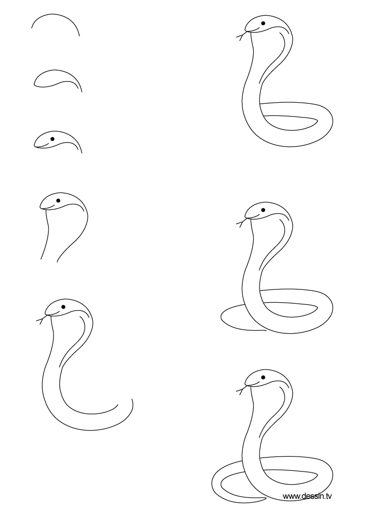 Disegno da colorare: Cobra (Animali) #3375 - Pagine da Colorare Stampabili Gratuite