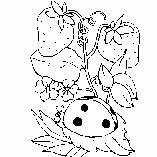 Disegno da colorare: Coccinella (Animali) #3528 - Pagine da Colorare Stampabili Gratuite