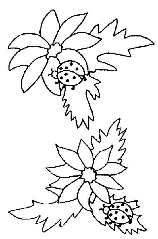 Disegno da colorare: Coccinella (Animali) #3581 - Pagine da Colorare Stampabili Gratuite
