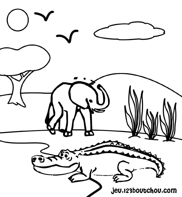 Disegno da colorare: Coccodrillo (Animali) #4796 - Pagine da Colorare Stampabili Gratuite
