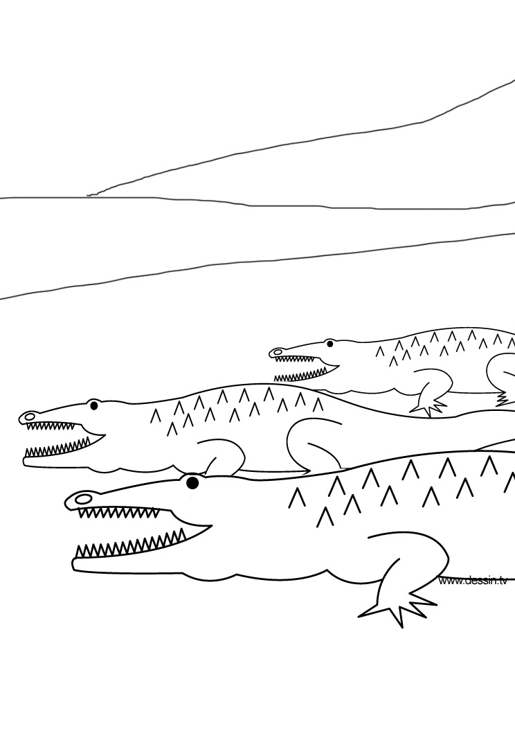 Disegno da colorare: Coccodrillo (Animali) #4834 - Pagine da Colorare Stampabili Gratuite