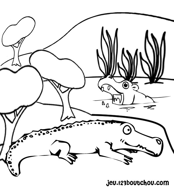 Disegno da colorare: Coccodrillo (Animali) #4837 - Pagine da Colorare Stampabili Gratuite