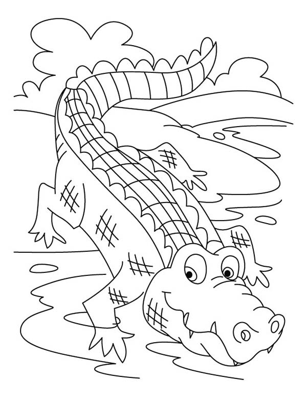 Disegno da colorare: Coccodrillo (Animali) #4924 - Pagine da Colorare Stampabili Gratuite