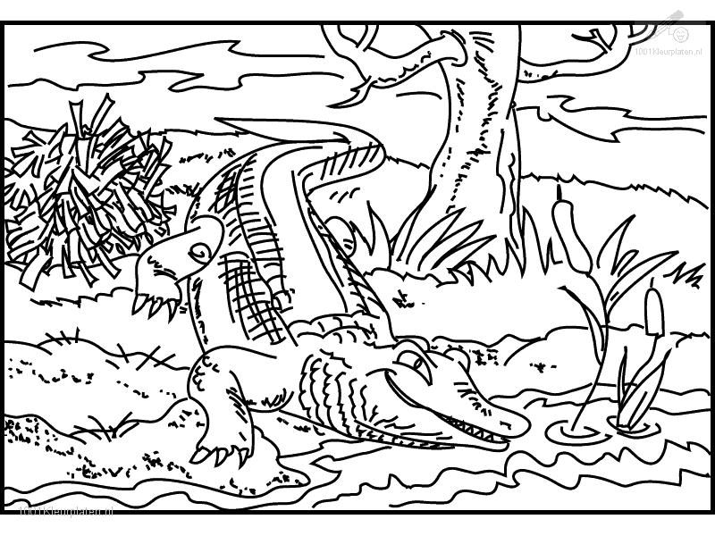 Disegno da colorare: Coccodrillo (Animali) #4942 - Pagine da Colorare Stampabili Gratuite
