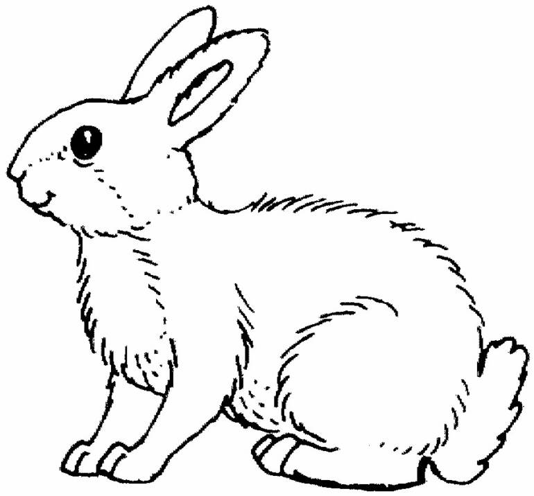 Disegno da colorare: Coniglio (Animali) #9504 - Pagine da Colorare Stampabili Gratuite