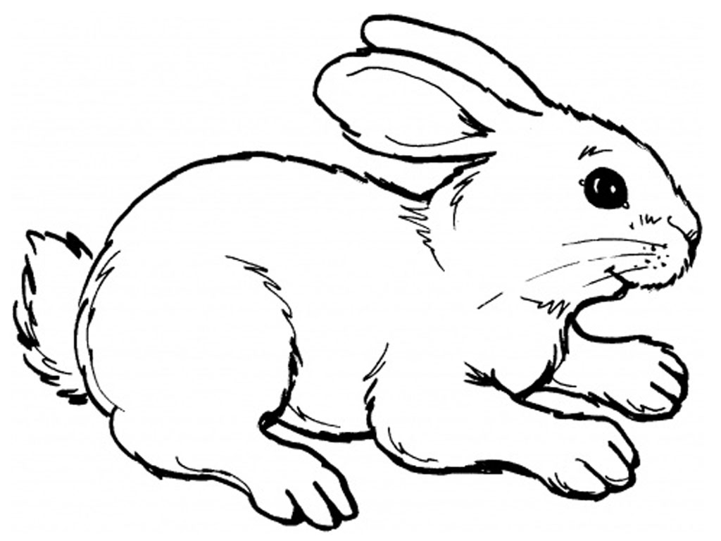 Disegno da colorare: Coniglio (Animali) #9507 - Pagine da Colorare Stampabili Gratuite