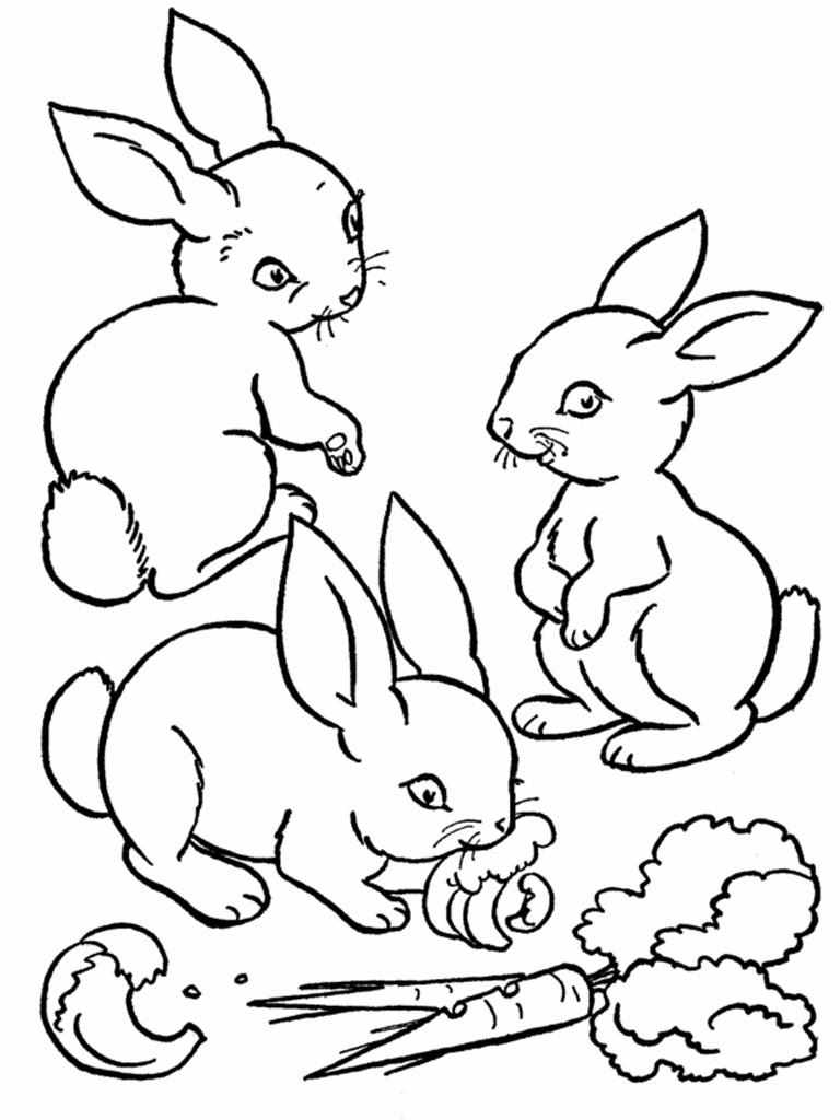 Disegno da colorare: Coniglio (Animali) #9522 - Pagine da Colorare Stampabili Gratuite