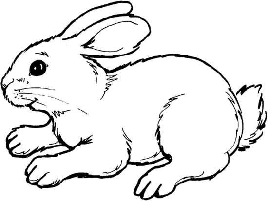 Disegno da colorare: Coniglio (Animali) #9526 - Pagine da Colorare Stampabili Gratuite