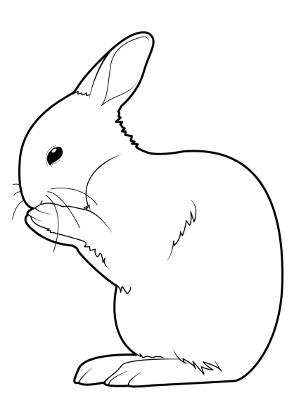Disegno da colorare: Coniglio (Animali) #9554 - Pagine da Colorare Stampabili Gratuite
