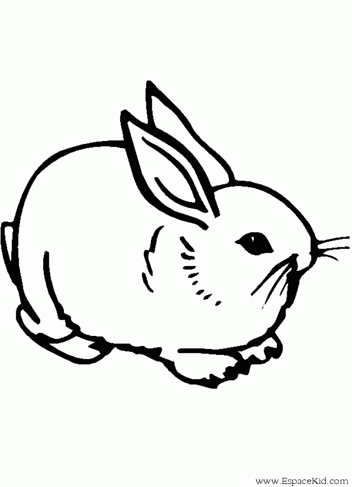 Disegno da colorare: Coniglio (Animali) #9610 - Pagine da Colorare Stampabili Gratuite