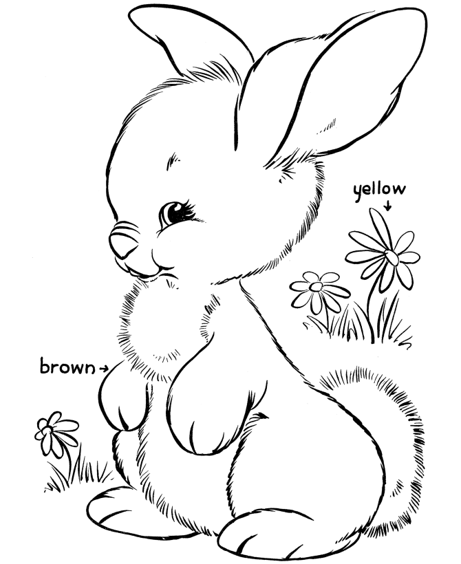 Disegno da colorare: Coniglio (Animali) #9621 - Pagine da Colorare Stampabili Gratuite
