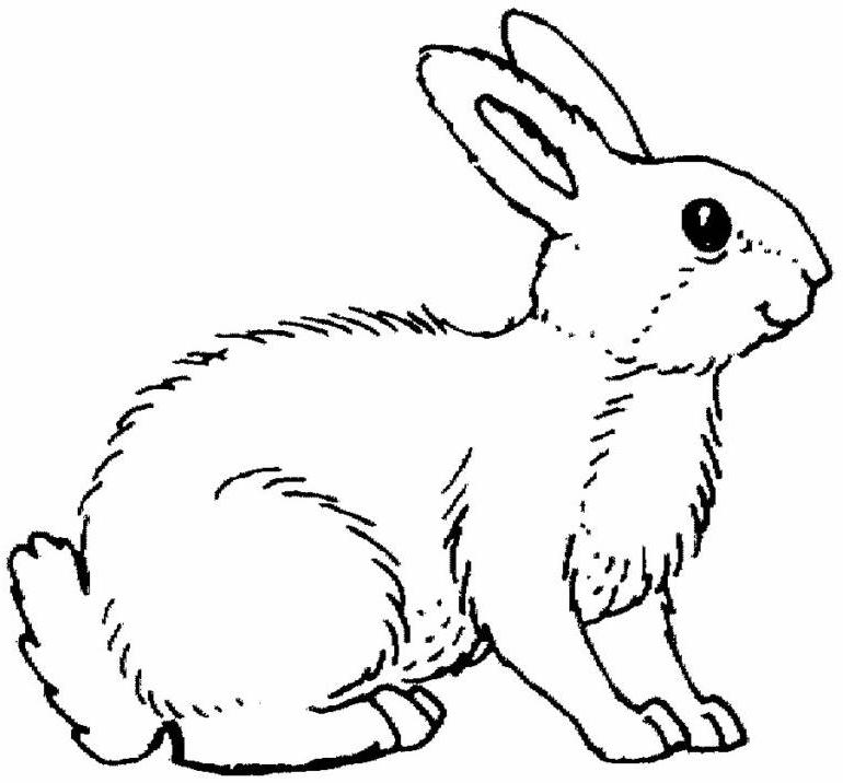 Disegno da colorare: Coniglio (Animali) #9689 - Pagine da Colorare Stampabili Gratuite