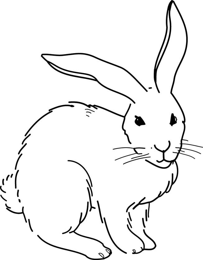 Disegno da colorare: Coniglio (Animali) #9694 - Pagine da Colorare Stampabili Gratuite