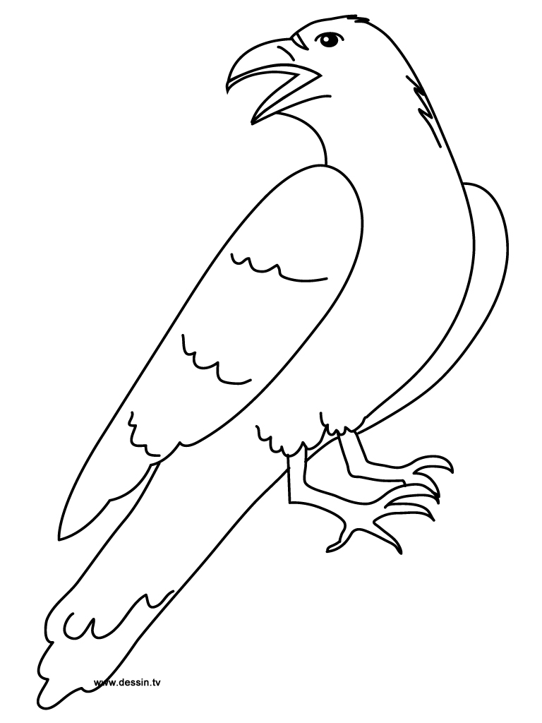 Disegno da colorare: Corvo (Animali) #4289 - Pagine da Colorare Stampabili Gratuite