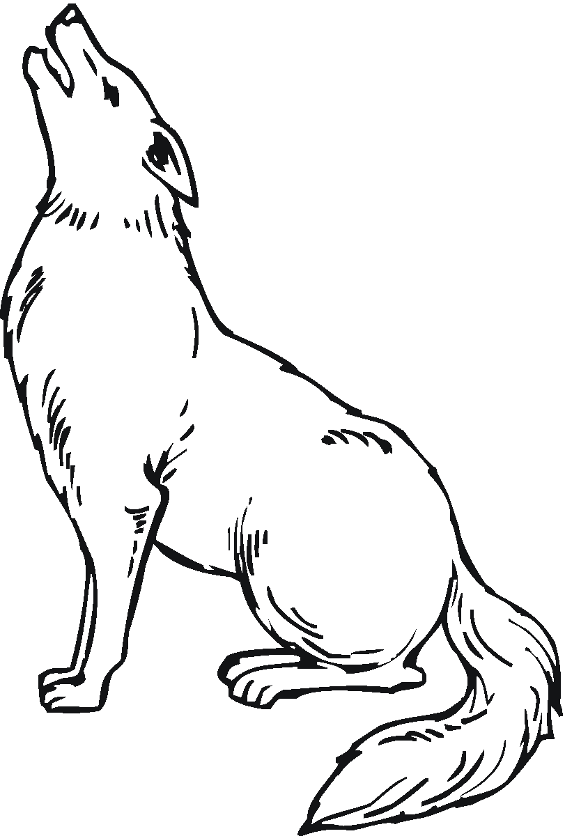 Disegno da colorare: Coyote (Animali) #4492 - Pagine da Colorare Stampabili Gratuite