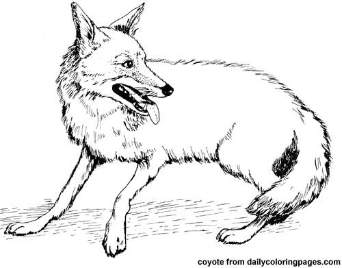 Disegno da colorare: Coyote (Animali) #4526 - Pagine da Colorare Stampabili Gratuite