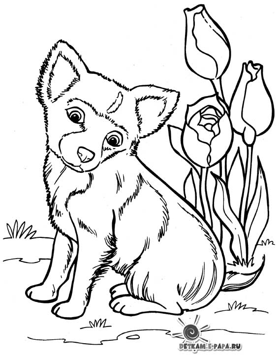 Disegno da colorare: Cucciolo (Animali) #2941 - Pagine da Colorare Stampabili Gratuite