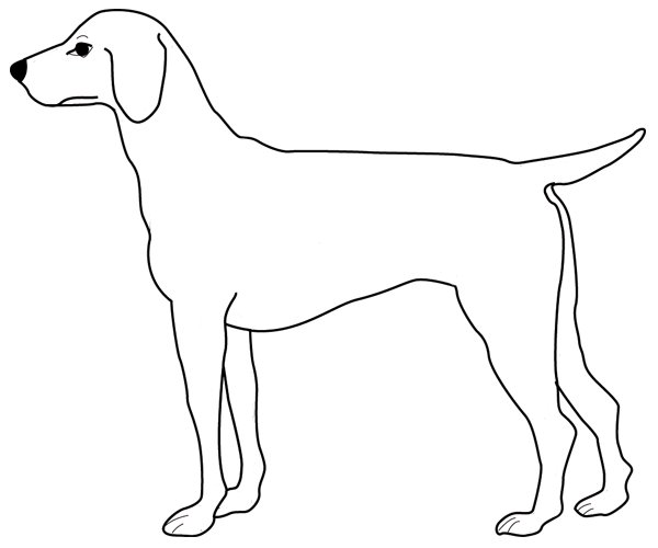 Disegno da colorare: Cucciolo (Animali) #2956 - Pagine da Colorare Stampabili Gratuite